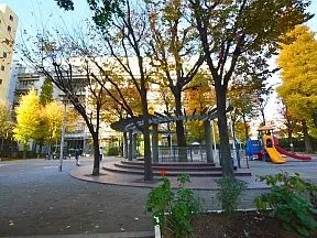 金竜公園