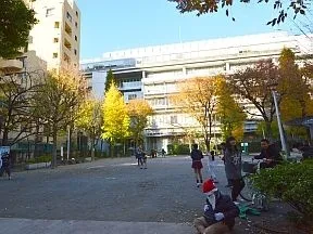 金竜公園