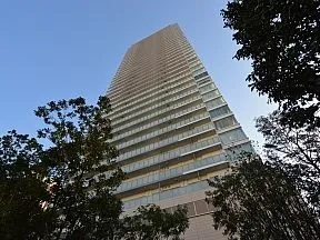 敷地北側「憩いの杜」から見上げた外観
