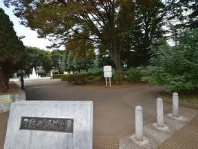こどものひろば公園
