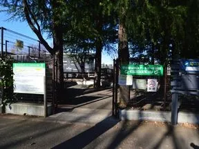 世田谷公園スケートボード広場