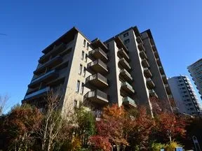 南西から見た外観