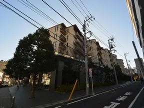 北西から見た外観