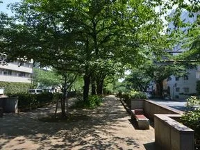 播磨坂さくら並木