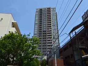 南側より