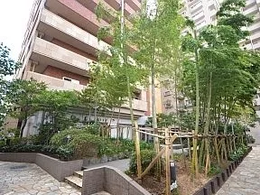 柳がさりげなくプライバシーを守るアクア<br>パティオ