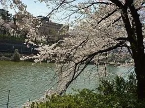 外濠公園