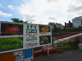 市ヶ谷フィッシュセンター