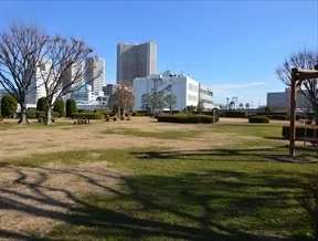 芝浦中央公園（芝生広場） 