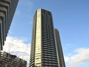辰巳運河側より