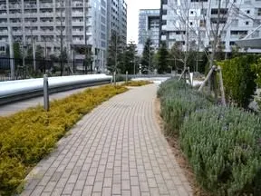 花の小径