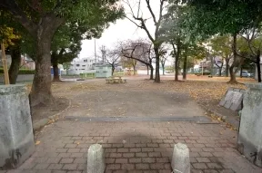 桜木公園