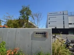 バディスポーツ幼児園