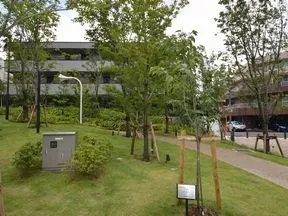 森の広場
