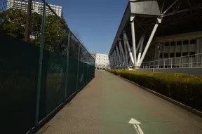 有明コロシアムとテニスコートの間の道