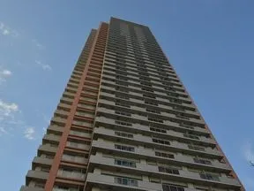 南東側より