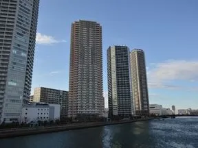 辰巳桜橋より
