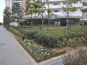 敷地内植栽