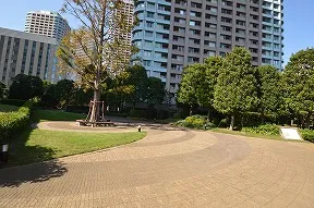 センチュリーパークタワー外観（石川島公<br>園より）