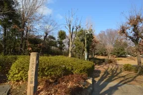 次大夫堀公園