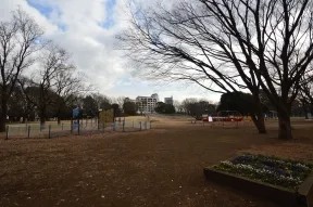 砧公園
