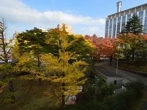 羽衣公園