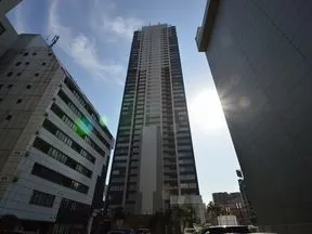 北から見た外観