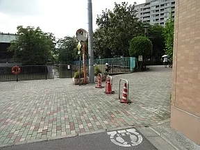 佃公園の川につきあたったら右折