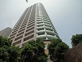 南西側から見上げた外観