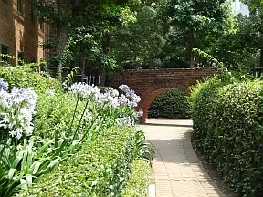 緑豊かなリバーシティ内