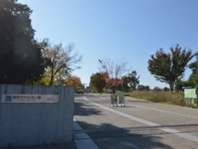 昭和記念公園