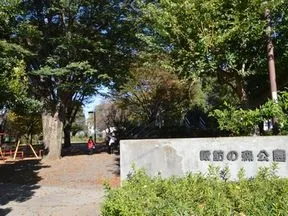 諏訪の森公園