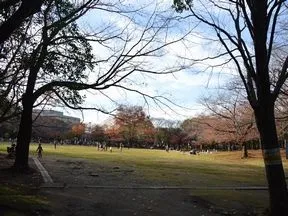 蕨市民公園