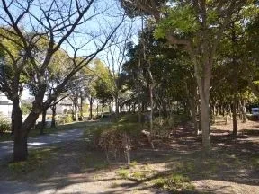 浜田緑地