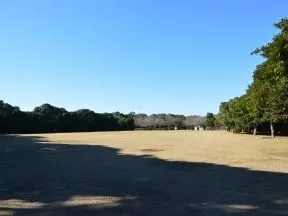 幕張海浜緑地