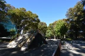 新宿中央公園