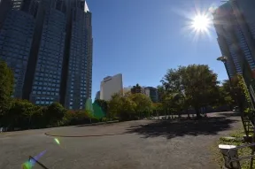 新宿中央公園