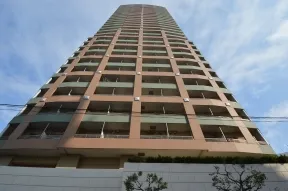 敷地南西側より
