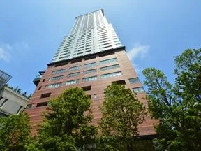 南側より