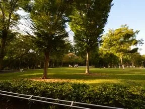 新宿中央公園