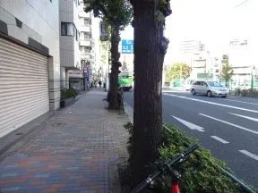 信号を渡って左折、目白通り沿いを進み<br>ます