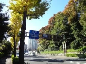 明治通り
