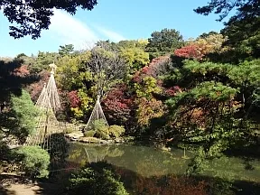新江戸川公園