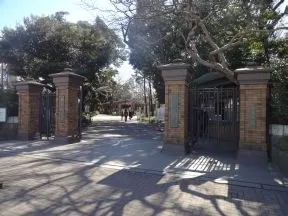 学習院大学（幼・小・中・高・大）
