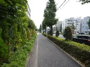 高島通りを約450ｍ進みます。