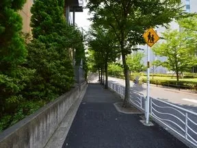 ケヤキ並木を道なりに進みます