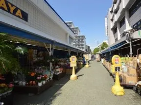 スーパータイヨーイキイキ生鮮市場 東陽町店