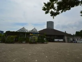 木場ミドリアム