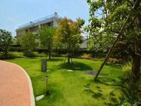 芝生の広場を囲むように樹木が配されたグリーンパーク