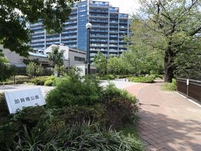 加賀橋公園(石神井川緑道)